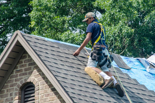 Best Storm Damage Roof Repair  in Regency At Monroe, NJ